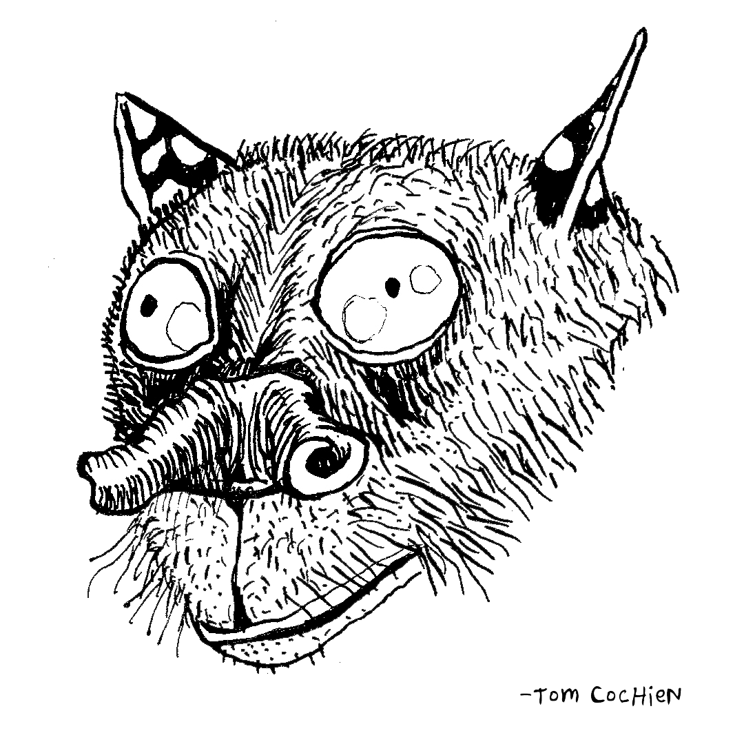 DJ Geais - Zugunruhe