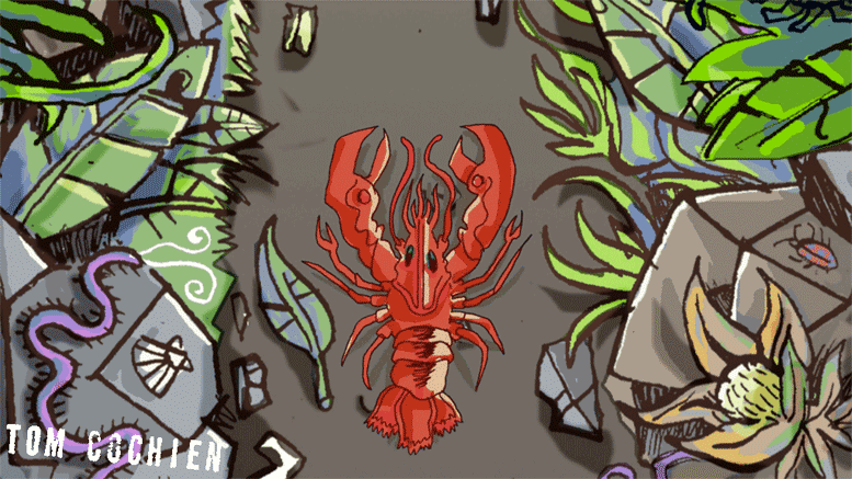 KöSHRiMP - Lobster pt III